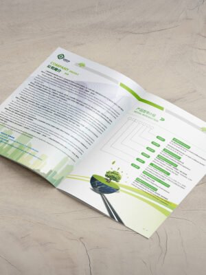 Thiết kế catalogue đa ngôn ngữ cho doanh nghiệp kinh doanh đa quốc gia