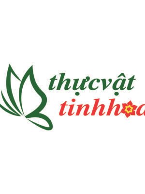 Thiết kế logo thương hiệu Thực Vật Tinh Hoa