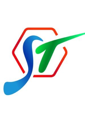 Thiết kế logo ST theo phong cách ấn tượng