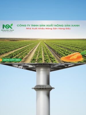 Thiết kế biển quảng cáo ngoài trời bill board cho doanh nghiệp xuất khẩu nông sản