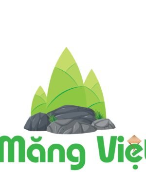 Thiết kế logo công ty kinh doanh măng - Măng Việt