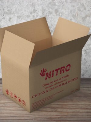 Thiết kế bao bì sản phẩm, vỏ thùng carton đựng sản phẩm