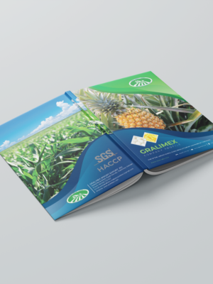 Hồ sơ năng lực bằng tiếng Anh cho công ty xuất khẩu