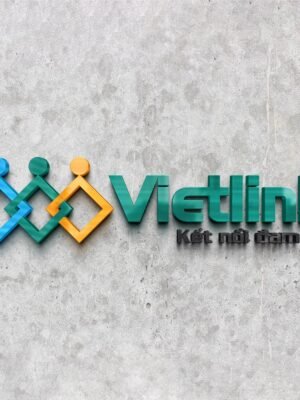 Thiết kế logo nhận diện thương hiệu Vietlink
