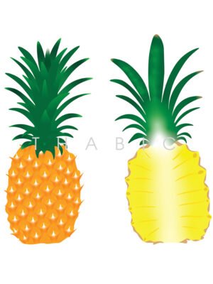 Mẫu thiết kế thiết kế quả dứa (thơm)