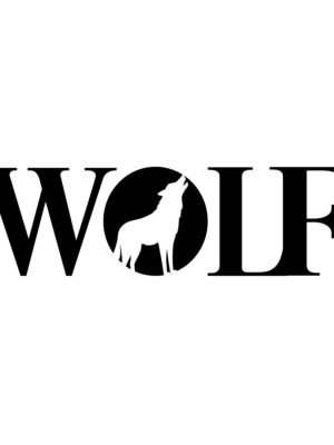 Thiết kế logo cửa hàng đồ dã ngoại WOLF
