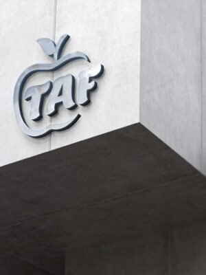 Thiết kế logo kim loại gắn nổi trên tường các tòa nhà