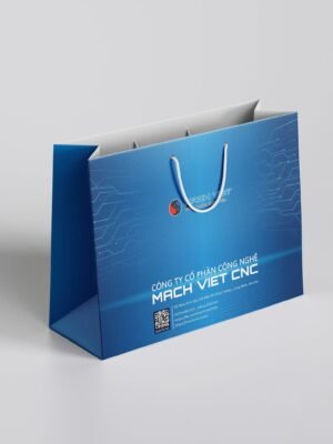 Thiết kế túi giấy đựng quà tặng in thương hiệu công ty