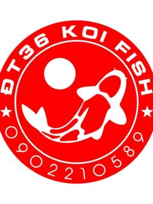 Thiết kế logo cá koi