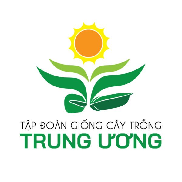 Thiết kế logo công ty giống cây trồng - Hình ảnh 2