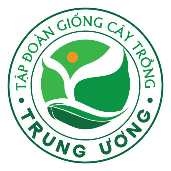 Thiết kế logo công ty giống cây trồng - Hình ảnh 3