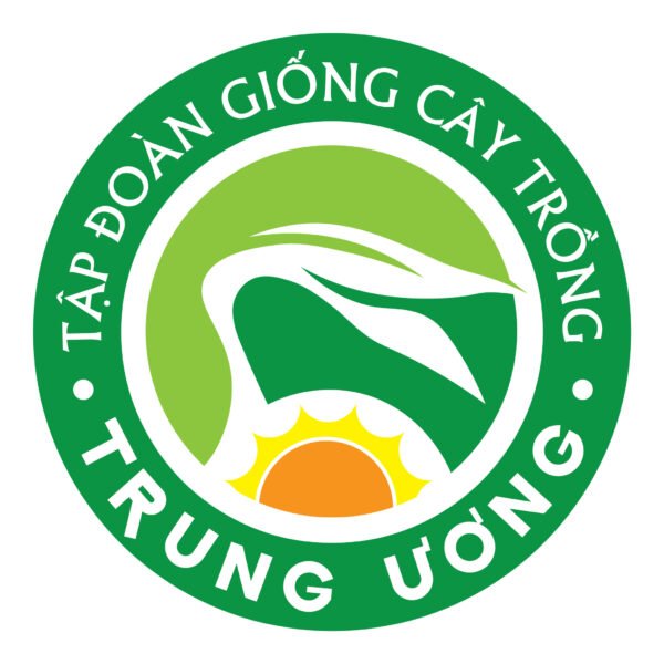 Thiết kế logo công ty giống cây trồng - Hình ảnh 4