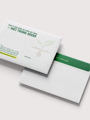 Thiết kế phong bì thư A4 A5 letter các loại nhận diện thương hiệu doanh nghiệp