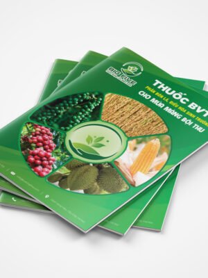 Thiết kế Catalog sản phẩm thuốc bảo vệ thực vật BigFive