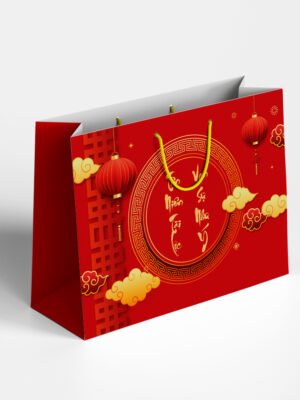 Thiết kế túi giấy đựng quà Tết, quà tặng doanh nghiệp