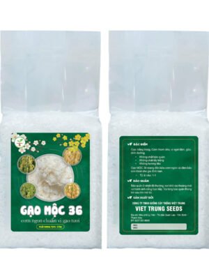 Thiết kế tem nhãn bao bì túi gạo 2kg màu xanh