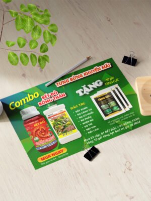 Thiết kế tài liệu quảng cáo, tờ rơi khổ A4 ngang màu xanh lá cây