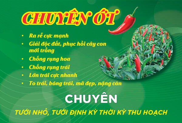 Thiết kế tờ rơi phân bón dinh dưỡng cho cây ớt - Hình ảnh 3