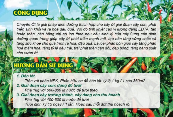 Thiết kế tờ rơi phân bón dinh dưỡng cho cây ớt - Hình ảnh 4