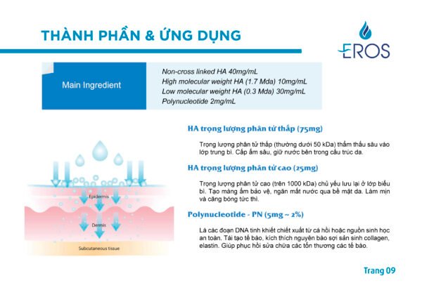 Thiết kế hồ sơ sản phẩm mỹ phẩm nhập khẩu - Hình ảnh 5