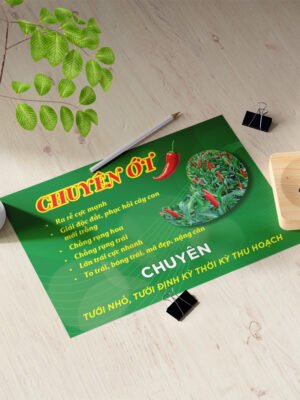 Thiết kế tờ rơi phân bón dinh dưỡng cho cây ớt