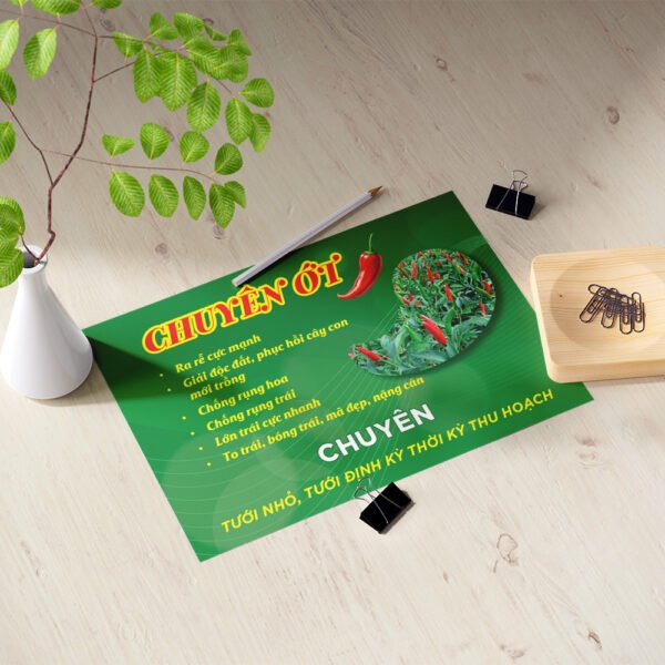 Thiết kế tờ rơi phân bón dinh dưỡng cho cây ớt
