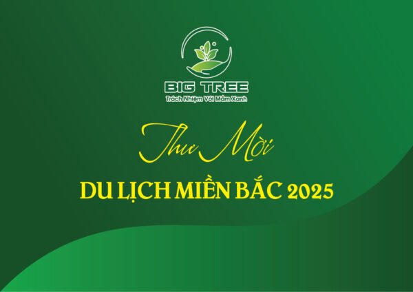 Thiết kế thư mời sự kiện du lịch màu xanh khổ ngang 17x12 cm - Hình ảnh 2