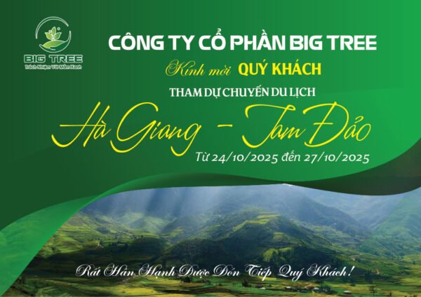 Thiết kế thư mời sự kiện du lịch màu xanh khổ ngang 17x12 cm - Hình ảnh 3