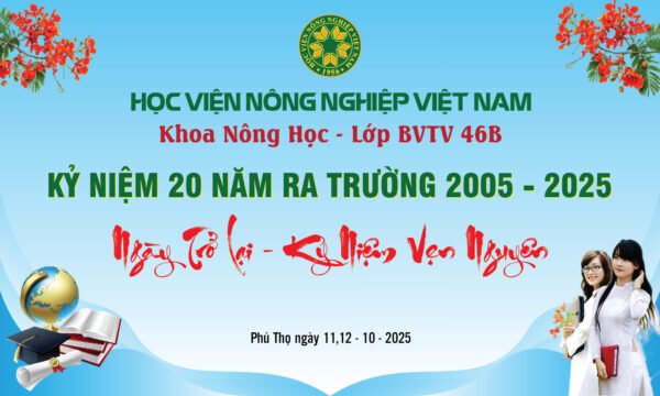 Thiết kế backdrop sự kiện 20 năm ngày ra trường - Hình ảnh 3