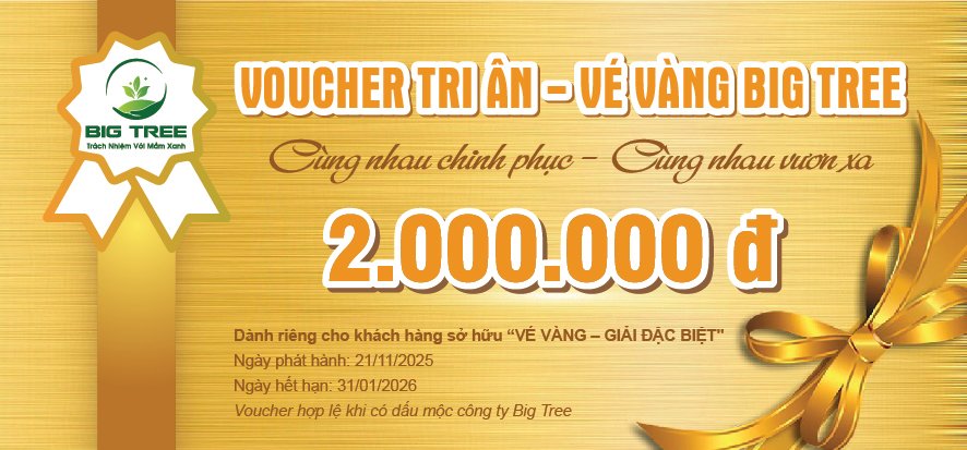 Thiết kế Voucher sự kiện gala, khai trương, du lịch - Ảnh 3