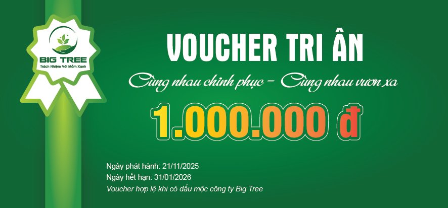 Thiết kế Voucher sự kiện gala, khai trương, du lịch - Ảnh 4