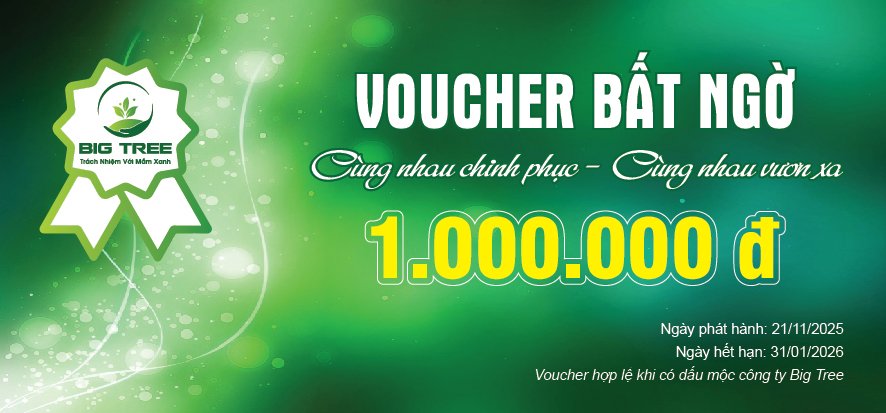 Thiết kế Voucher sự kiện gala, khai trương, du lịch - Ảnh 5