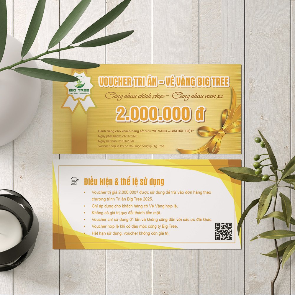 Thiết kế Voucher sự kiện gala, khai trương, du lịch - Ảnh 2