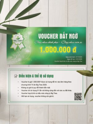 Thiết kế Voucher sự kiện gala, khai trương, du lịch