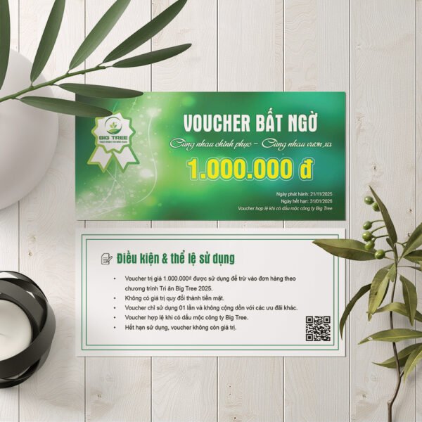 Thiết kế Voucher sự kiện gala, khai trương, du lịch