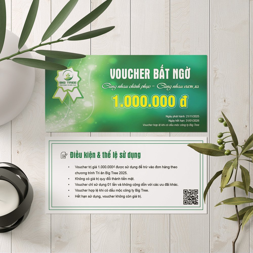 Thiết kế Voucher sự kiện gala, khai trương, du lịch