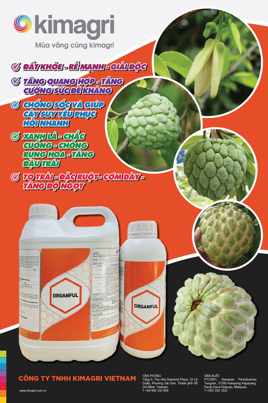 Thiết kế poster dán tường sản phẩm phân bón - Ảnh 3