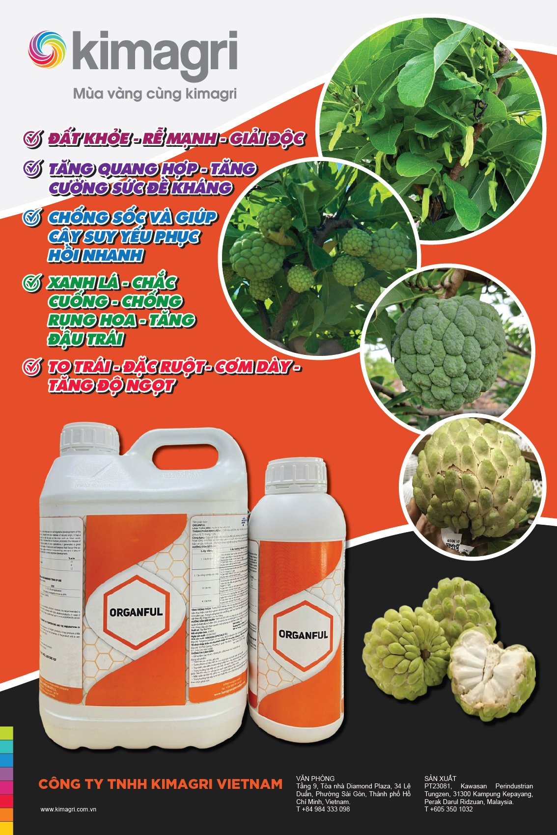 Thiết kế poster dán tường sản phẩm phân bón - Ảnh 2