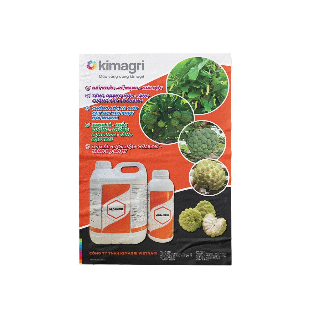 Thiết kế poster dán tường sản phẩm phân bón