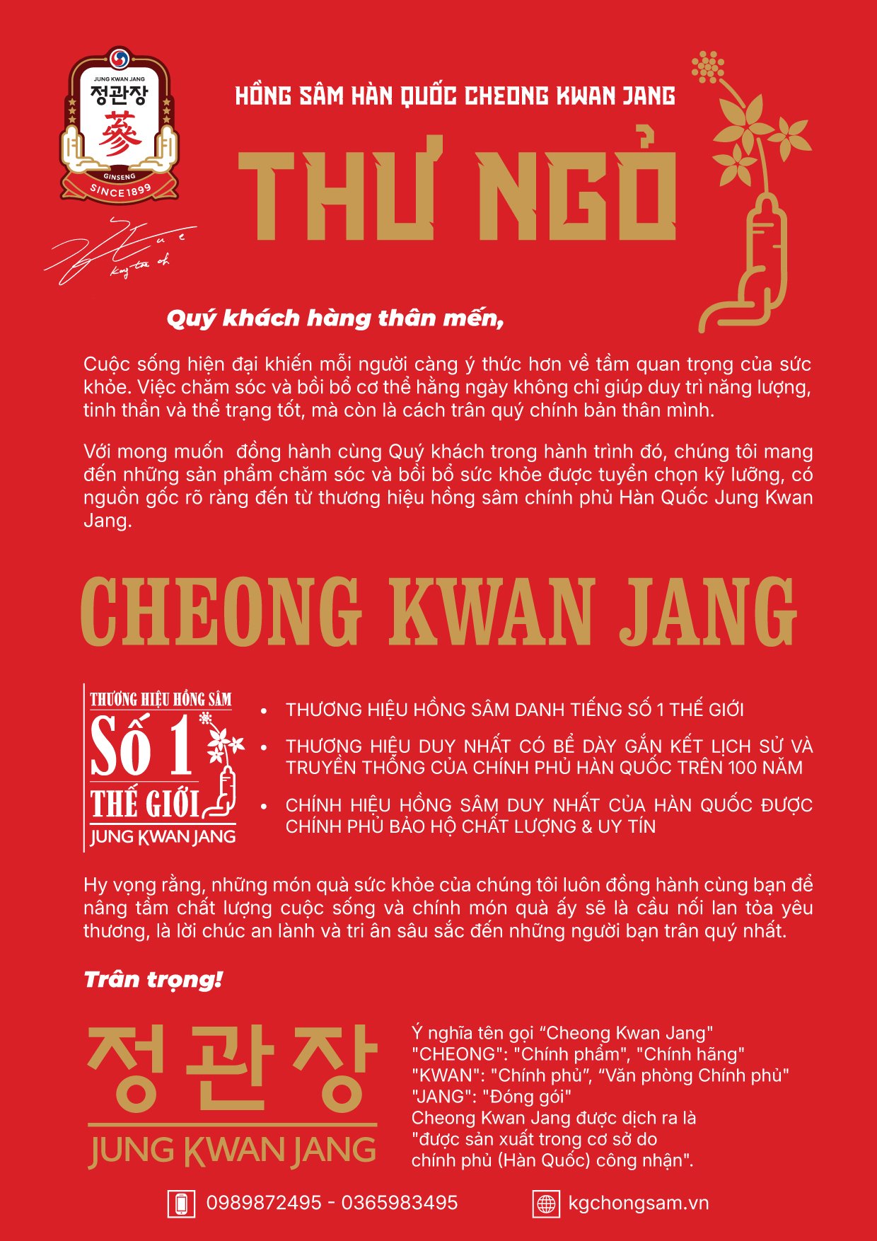 Thiết kế tờ rơi Hồng sâm Hàn Quốc - Ảnh 3