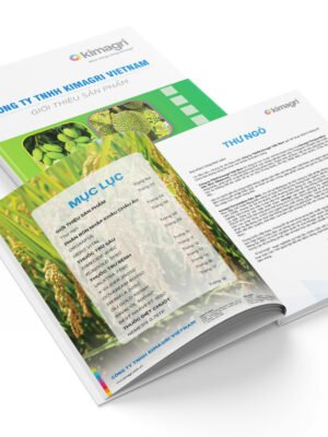 Thiết kế tài liệu sản phẩm, tài liệu nội bộ doanh nghiệp