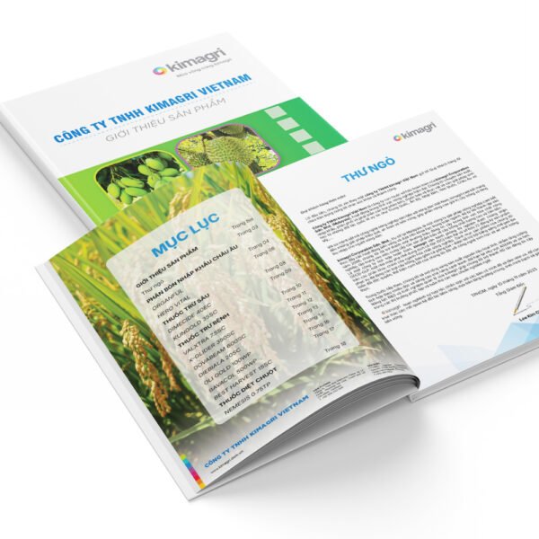 Thiết kế tài liệu sản phẩm, tài liệu nội bộ doanh nghiệp