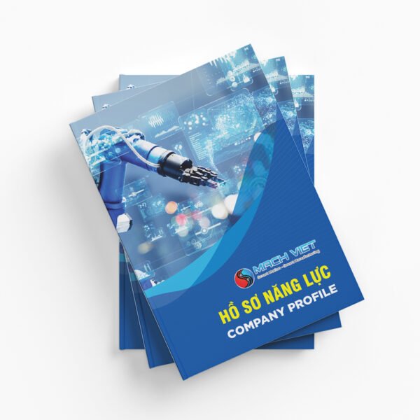 Thiết kế hồ sơ năng lực song ngữ